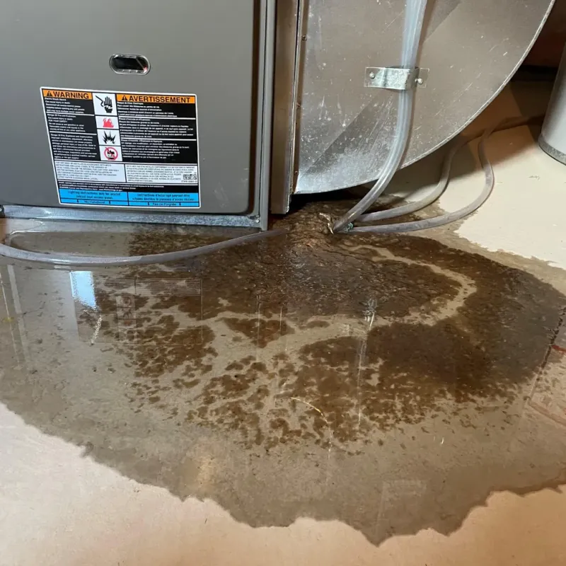 Appliance Leak Cleanup in Columbus, NC